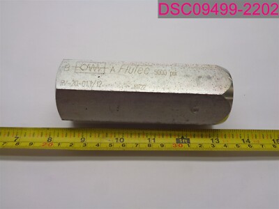 FluTec 5000psi Check Valve RV-20-01.1/12, 11T22