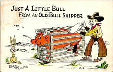 Just a little Bull Shipper Humor Comic Postcard used (15720)