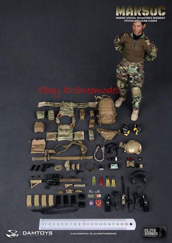 DAMTOYS DAM 1/6 78006 Marine Special Operations Equipo Líder Figura - Imagen 9 de 9