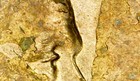 Bild 6 von 11