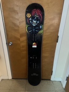 Jamie Lynn Lib Tech | eBay