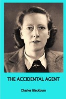 Robbie Robinson | The Accidental Agent | Taschenbuch | Englisch (2018)
