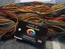 Done Roving FROLICKING FEET Handpainted 100% Merino Wool  480 yds WILD PHEASANT