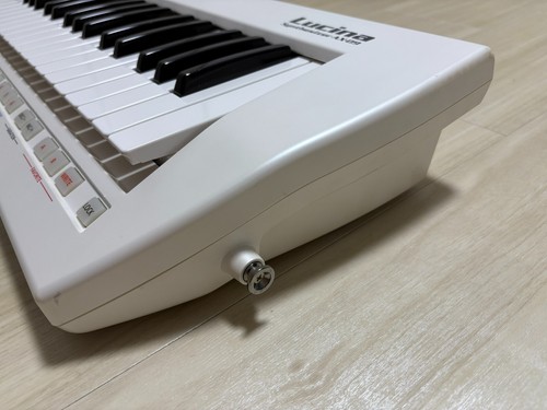 Roland AX-09 Lucina 37-Key Keytar Shoulder Keyboard Synthesizer with Carry Case - Picture 8 of 23
