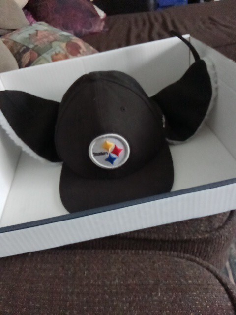 NFL Pittsburg Steelers Cap Hat Sherpa Ear Flap Winter Hat Beanie Trapper