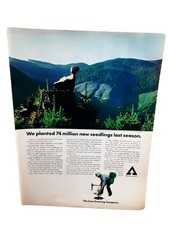 1972 Weyerhaeuser Forestry Vintage Print Ad Tree Farm 74 Million Seedlings