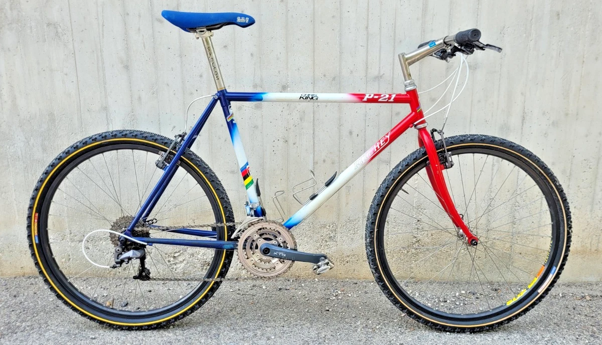 s*n様 SCOTT TEAM RACING COMPビンテージMTBリッチー Ritchey Vintage In Vintage Bikes for sale | eBay