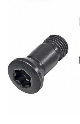 #ad WALTER FS1129 SCREW 200 Total MFG # 5006797 Cap Screw for Indexables M2.5 $750.00