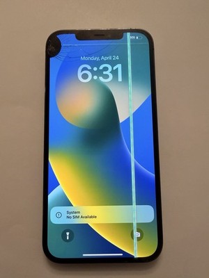 Apple iPhone 12 Pro Max - 256 GB - Graphite (Unlocked) For parts- read -A2342