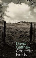 Concrete Fields | David Gaffney | Englisch | Taschenbuch | 2023 | Salt