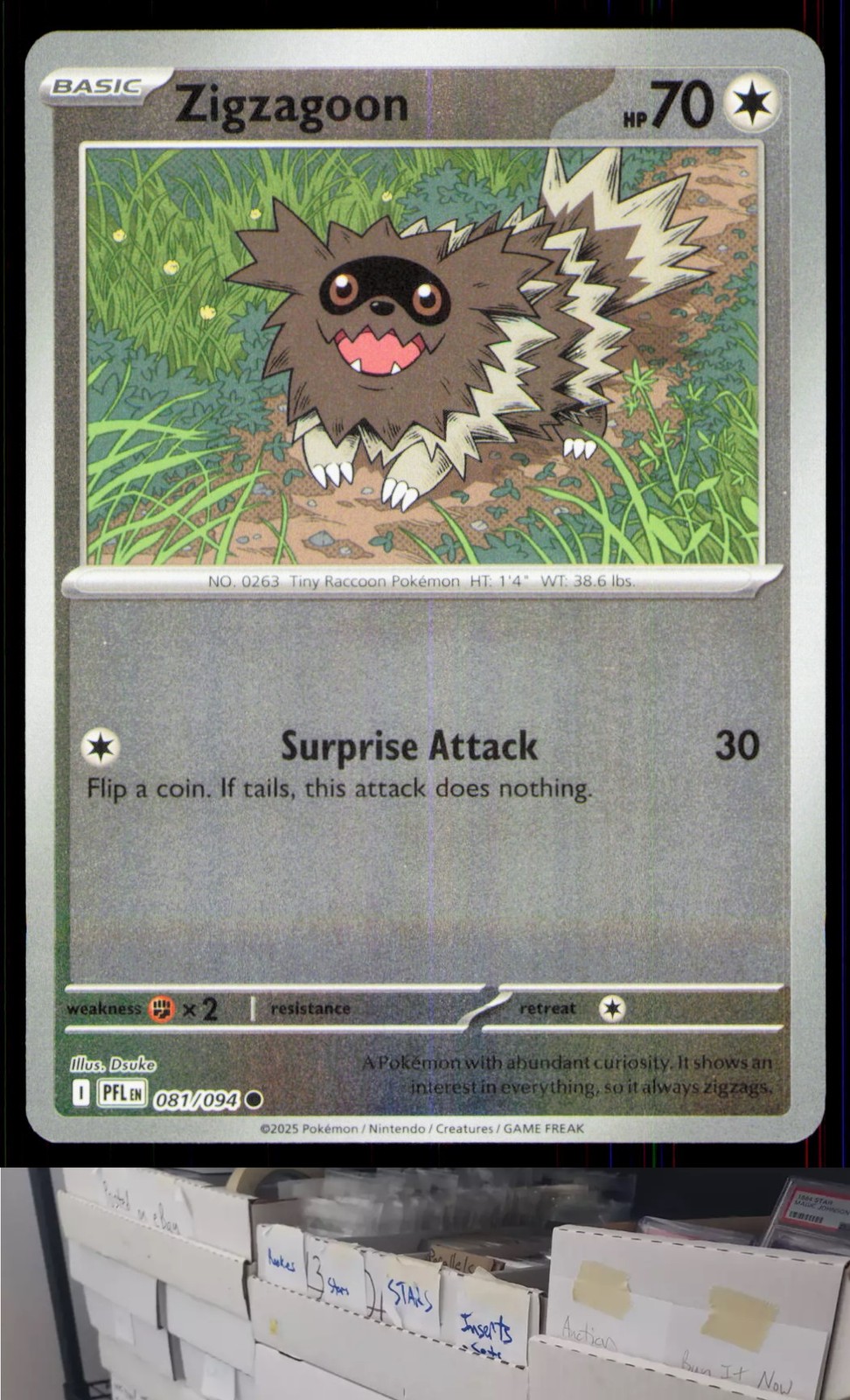 Mega Evolution Phantasmal Flames #069/080 Zigzagoon Holo - CA