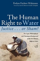 Evelyne Fiechter-Widemann | The Human Right To Water | Buch | Englisch (2017)