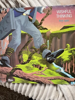 Langspielplatte Vinyl,  Wishfull Thinking, Think Again