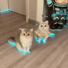 Cat Light-Up Shoes Pet Shoes Light-Up Children's Nighttime Toy Cosplay Dailylife