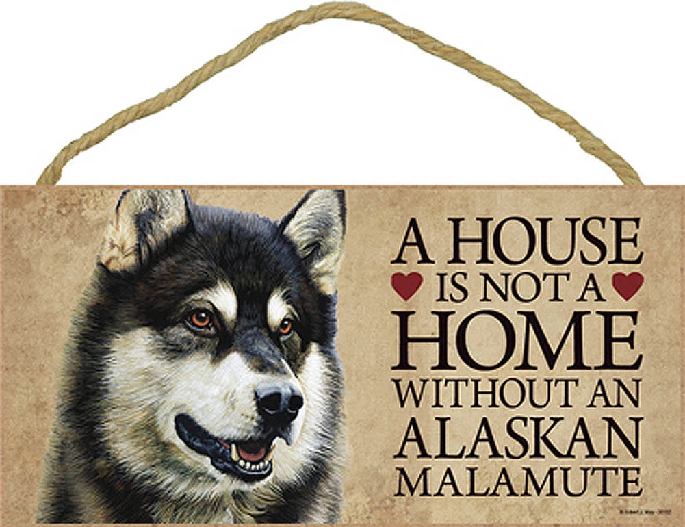 Alaskan husky in best sale not