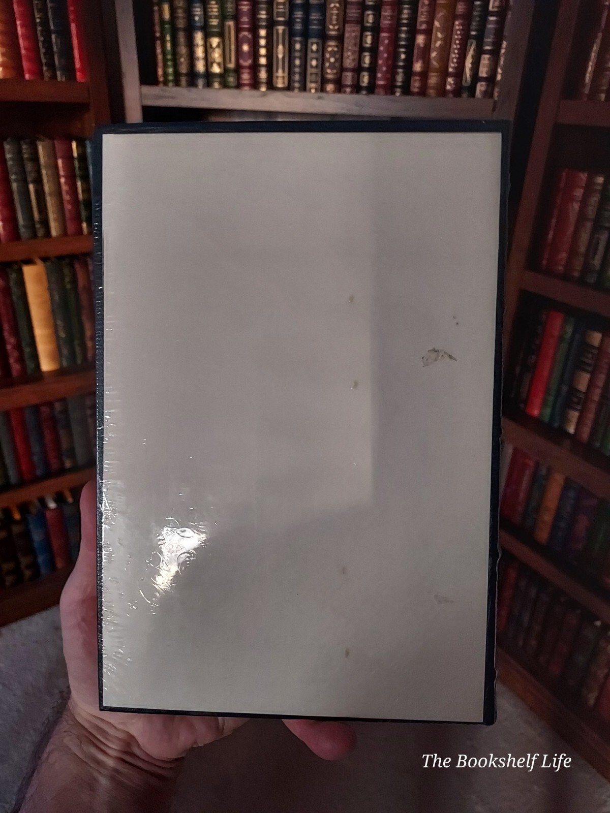 Picture 6 of 11