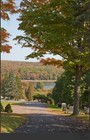 Bronze memorial crypt in cemetery with tall evergreen trees and autumn foliage along a paved path leading to a lake.