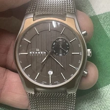 Skagen 853XLSRNM Stainless Steel Date Alarm Dual Time Watch (needs Battery)