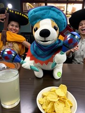 Be Jolly Animated Mariachi Puppy Plush Dog 10" Sings Dances Maracas Working NWT