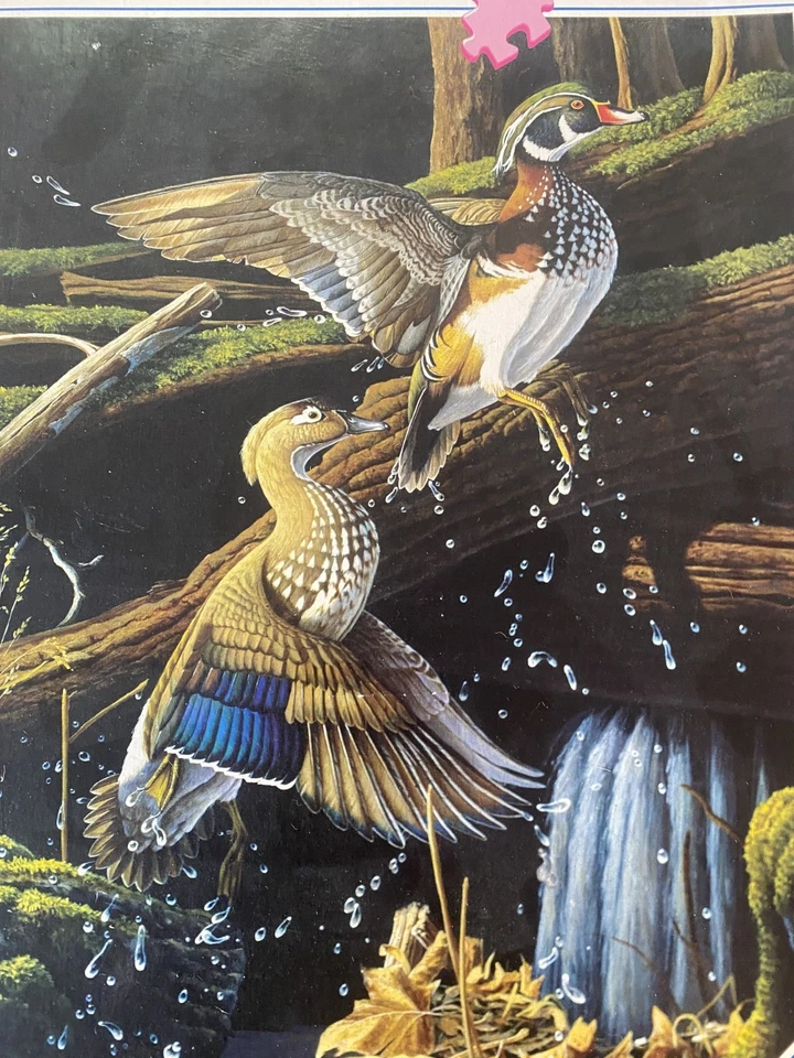 Rompecabezas Ravensburger 1000 piezas pato mallardo difícil de encontrar en vuelo 157068 usado Foto 2 de 4