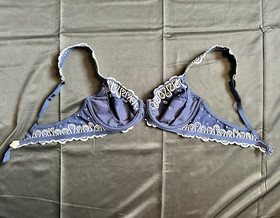 Lise Charmel 34B Blue and White Embroidered Underwire Unpadded Lingerie Bra NWOT