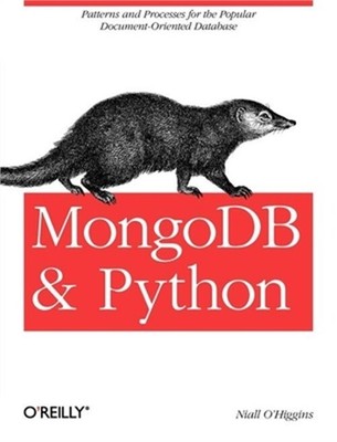 Mongodb and Python: Patterns and Processes for the Popular Document-Oriented Dat