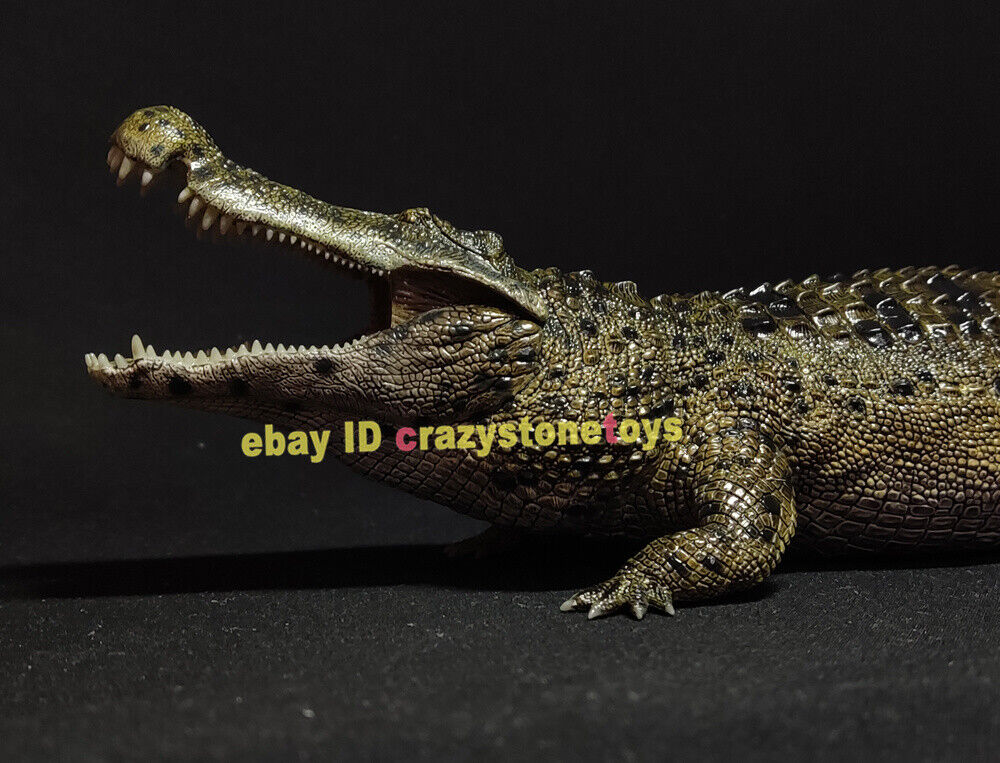 Adult Deinosuchus hatcheri Meta (Estuary Ver.) Deluxe 1/35 Scale Museum  Class Replica