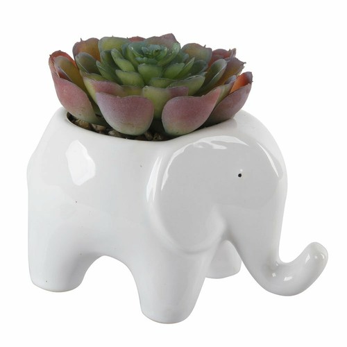 Flora Bunda Artificial Plant Succulent in 5" White Elephant Animal Novelty Pot - Picture 3 of 7