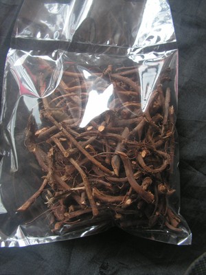 Packs of Kacip Fatimah Labisia Pumila Stems increases ...