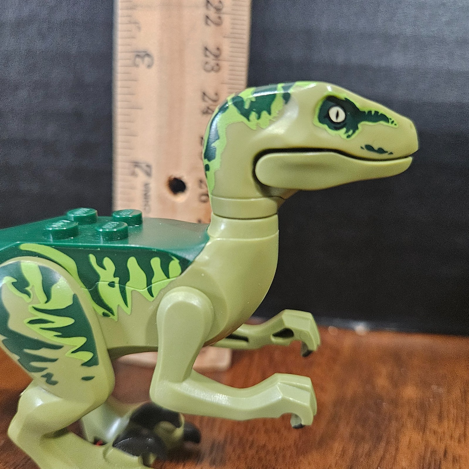 Picture 5 of 6