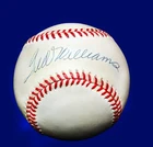 Ted Williams Autographed Baseball Authenticated in case