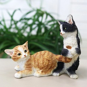 black white and orange kitten