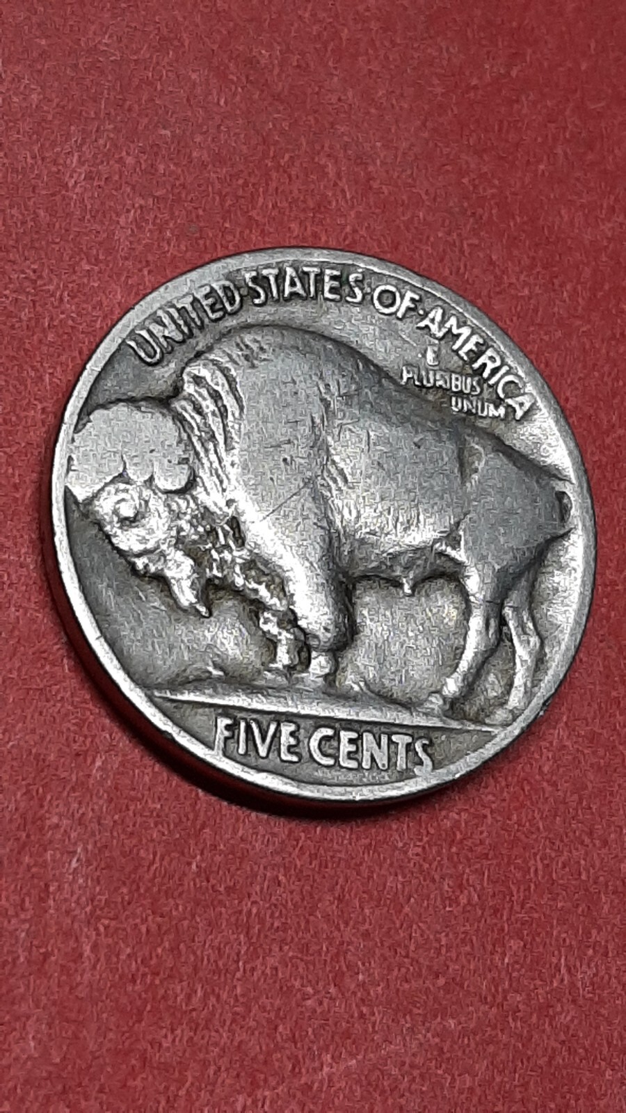 Picture 6 of 6