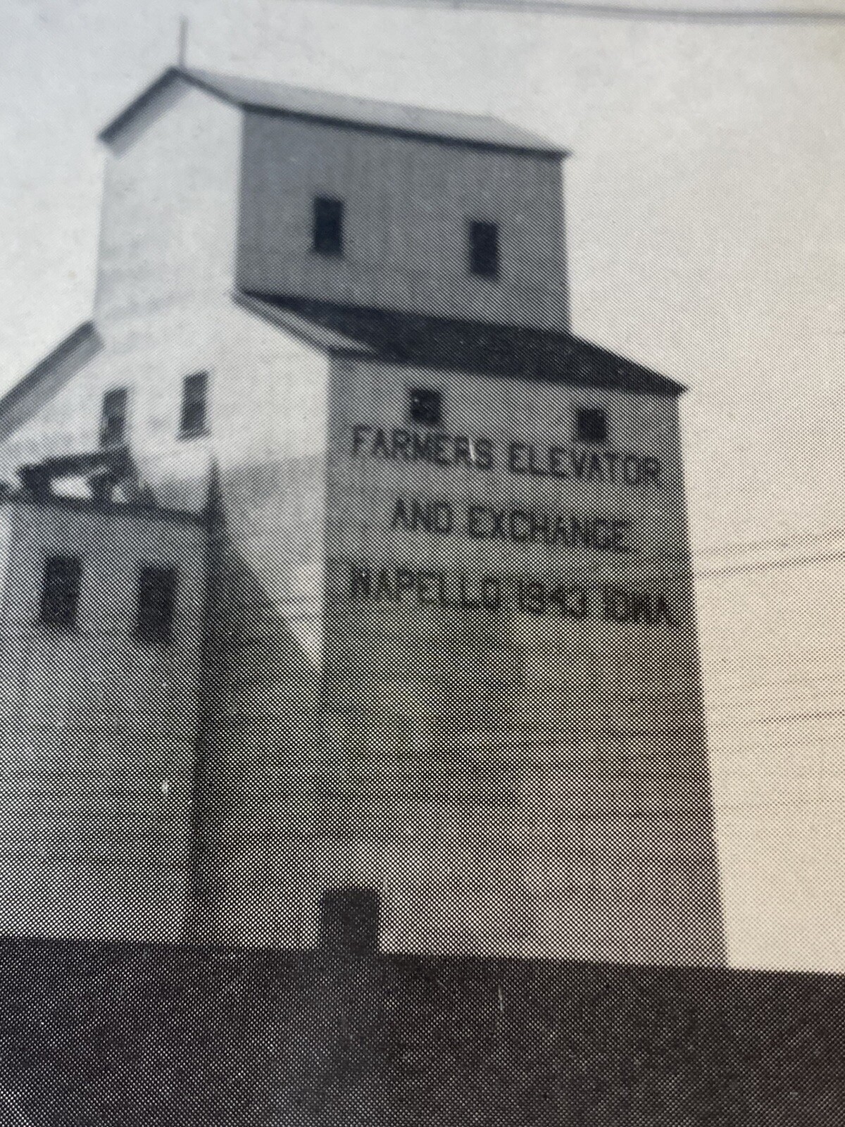 Vintage Farmers Elevator & Exchange Wapello, Iowa Advertising Framed