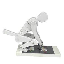 Posture Model Segmented Torso Medical Training Aid Instructional Surface