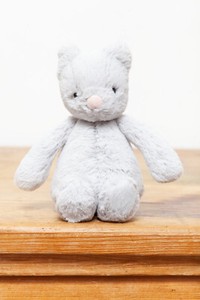 bashful kitty jellycat