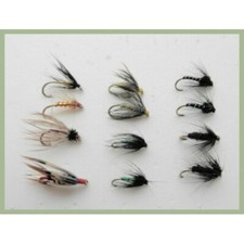 Wet Trout Flies 12 x Spider Patterns, named in description, Fishing Flies SF5F