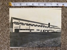 Vintage Original - SUNDERLAND (GREYHOUND RACING) 1981 - RARE PRESS PHOTO