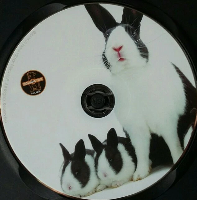 DVD Houndstars Owners Guide to My Rabbit  - Image 3 of 3