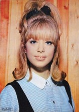 BEAUTIFUL PATTIE BOYD 8X10 Photo