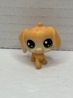 Littlest Pet Shop LPS Huge Lot Dog Puppy Acces FAIR St Bernard Chihuahua Terrier — photo 10