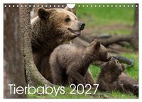 "Calendar 2027 · US Version · Animal Babies 2027 (Wall Calendar 2027 12\" × 8\" Lan"