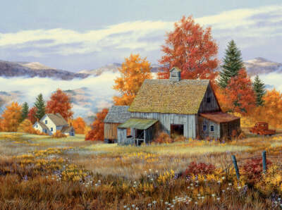 Purple Asters - Fred Swan Fine Art Print Country House Barn Farm Landscape 20x26