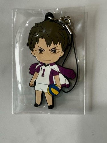 Haikyu Haikyuu Nendoroid 789 Wakatoshi Ushijima Figure Rubber Strap Set NEW | eBay