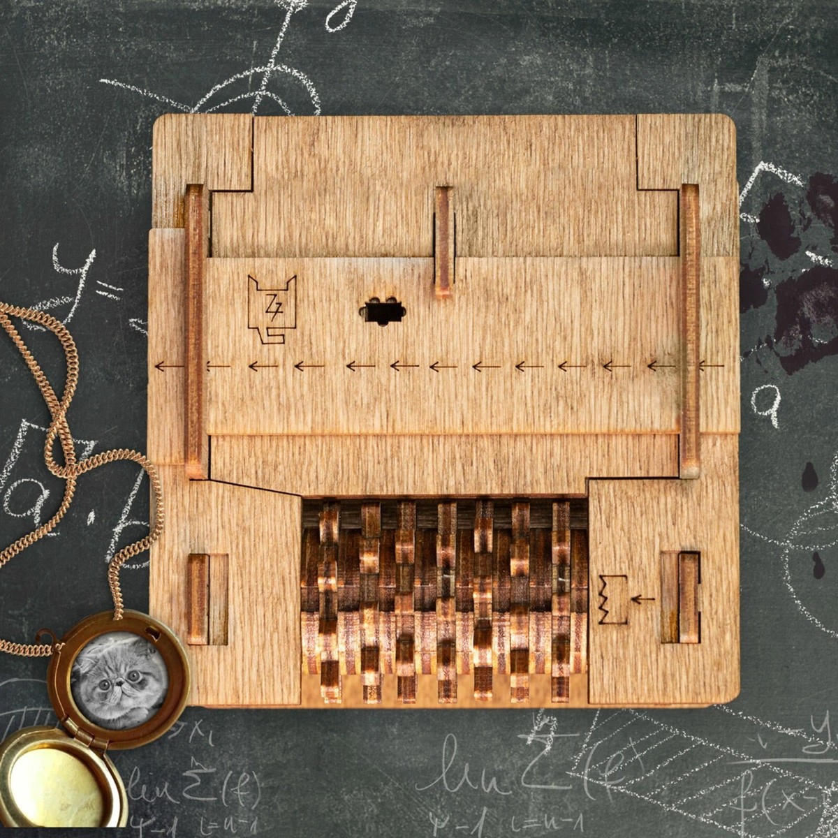 ゲートルーラーSchrödinger, theCat Out of theBox Amazon.com: iDventure Cluebox Schroedingers Cat | Escape Room