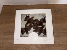 Pottery Barn Baby Kids Bear Plush Mobile Nursery Musical Brahms Lullaby