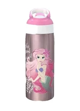 19oz Stainless Steel Double Wall Water Bottle - Zak Designs New