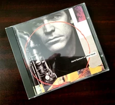 David Sanborn - Another Hand - Jazz Smooth Jazz Germany Made Excellent CD
