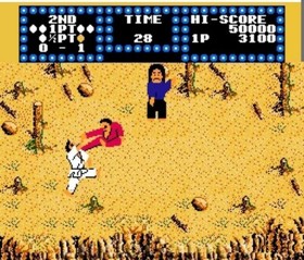 Karate Champ Nintendo Entertainment System Game NES 1986 Original Japan Data 