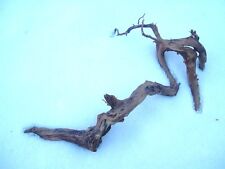TWITY DRIFTWOOD 11 - 13 INCHES for AQUARIUM/TERRARIUM